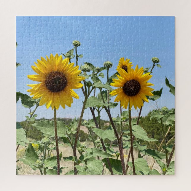 Two Sunflowers blue sky Jigsaw Puzzle (Vertical)