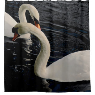 Two Swans