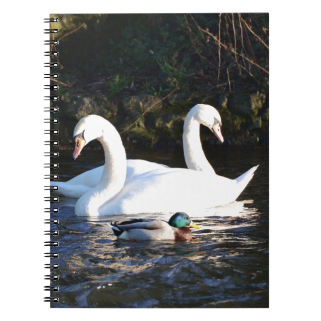 Two Swans And A Duck Notebook (Front)