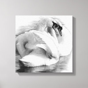 Two Swans Canvas Print