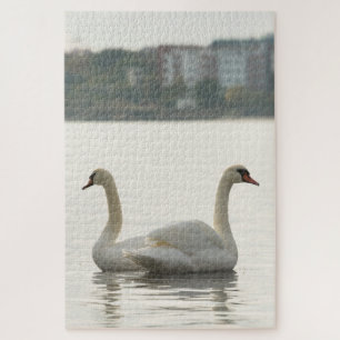 Two swans jigsaw puzzle