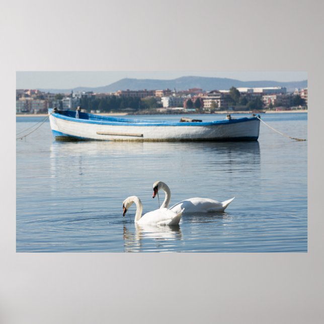 Two swans poster (Front)