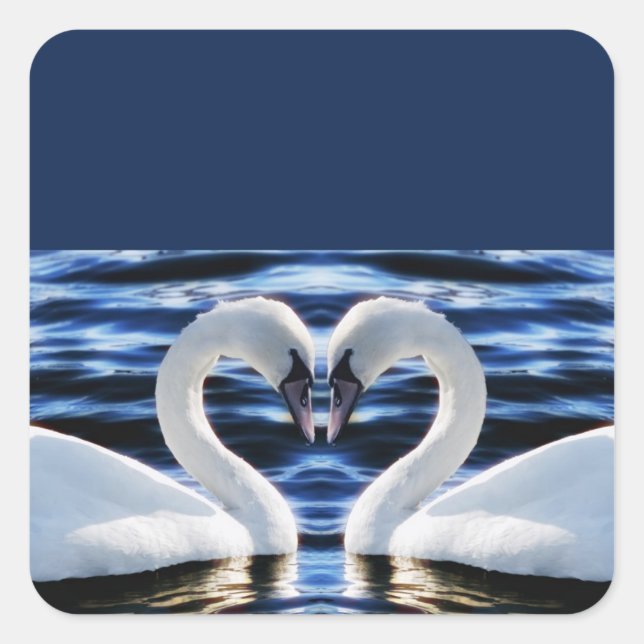 Two swans square sticker (Front)