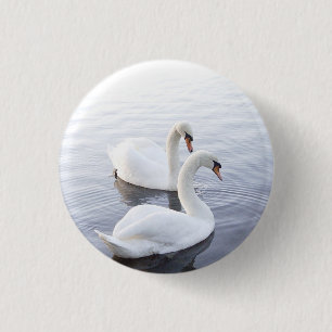Two Swans Swimming on Tranquil Lake 1 Inch Round Button