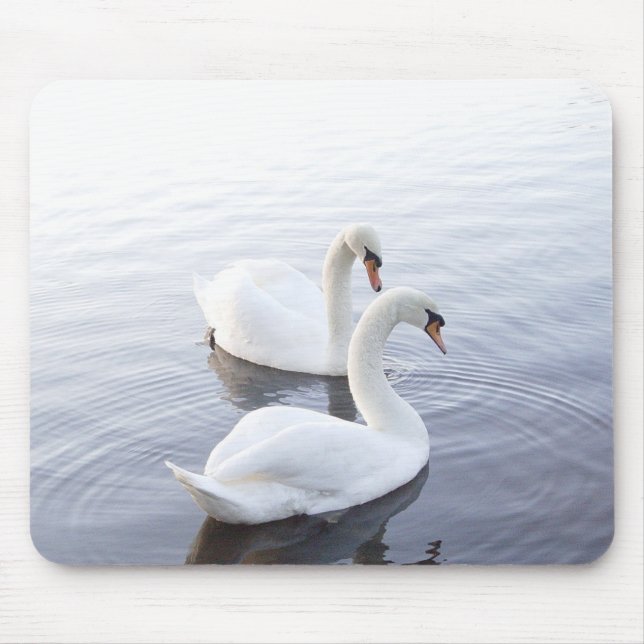 Two Swans Swimming on Tranquil Lake Mouse Pad (Front)
