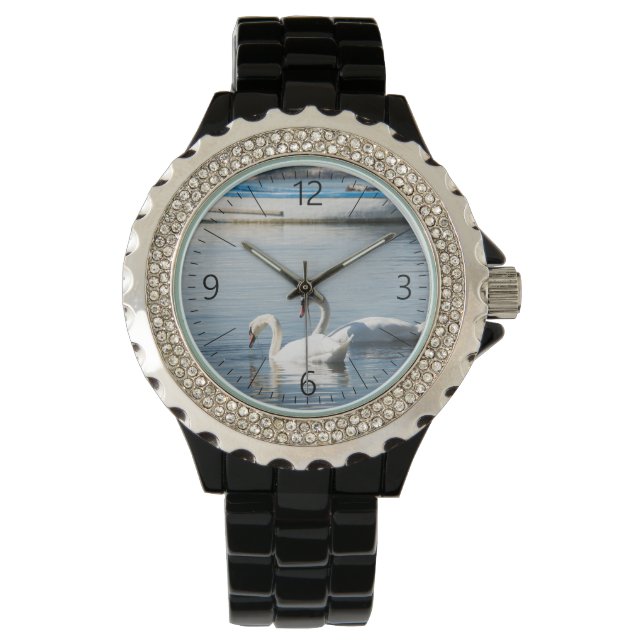 Two swans watch (Front)
