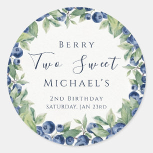 Two Sweet Berry Blueberry 2nd Birthday Boy Party Classic Round Sticker