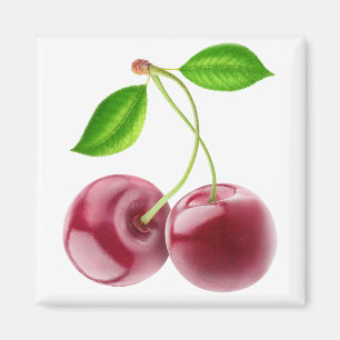 Two sweet cherries magnet