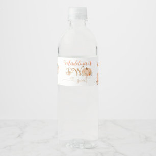 Two sweet pumpkin 2nd birthday water bottle label