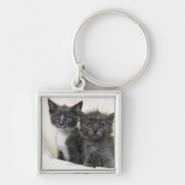 Two tabby kittens keychain (Front)