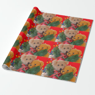 Two teddy bears with greenery and bow wrapping paper