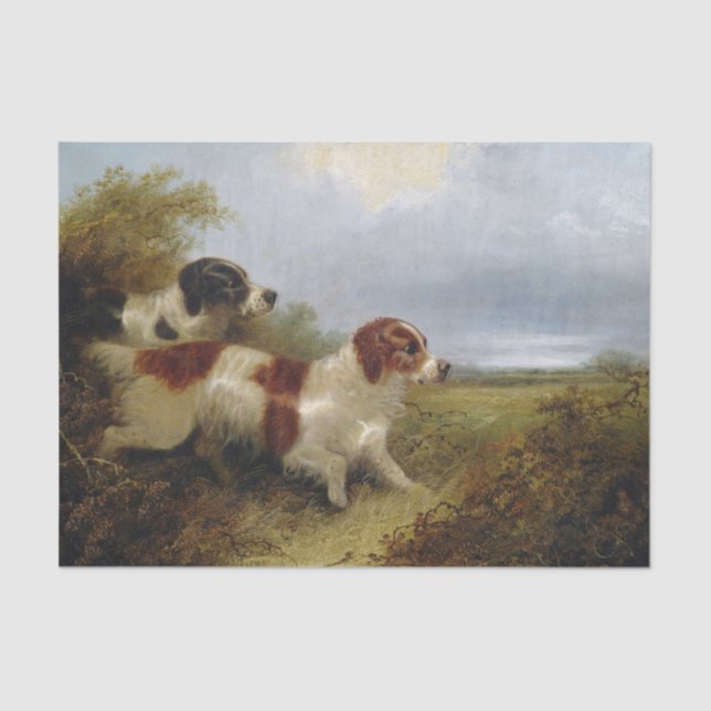 Two Terriers by Edward Armfield Tissue Paper (Front)