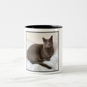 Two tone Mug, Russian Blue cat. Two-Tone Coffee Mug