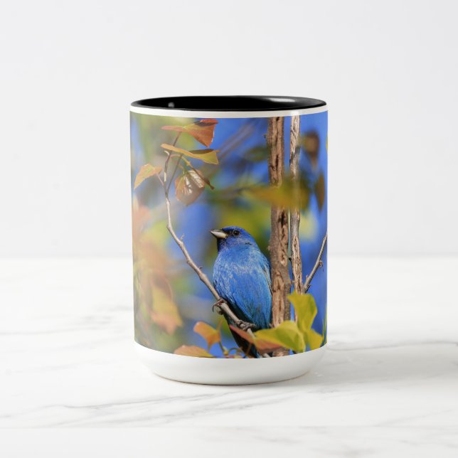 Two tone mug with picture of indigo bunting  (Center)