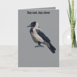Two-Tone Sentinel Black Hooded Crow Card