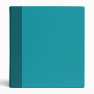 Two-Toned Aqua Teal Binder