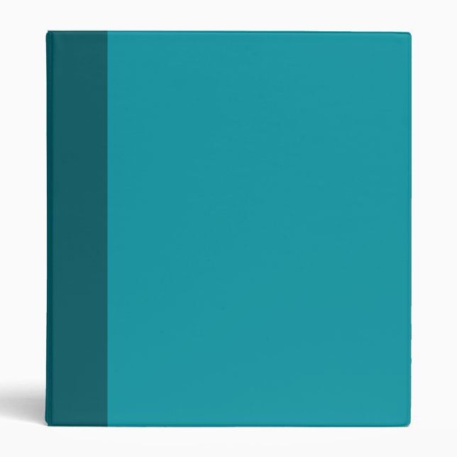Two-Toned Aqua Teal Binder (Front)