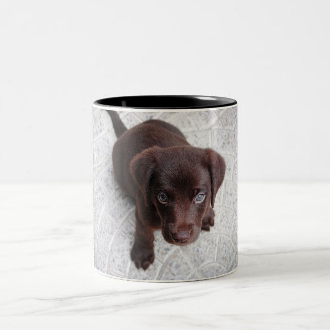 Two toned mug with puppy design. (Center)