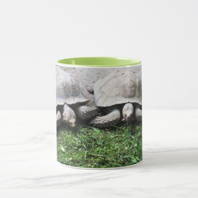 Two tortoises feeding mug (Center)