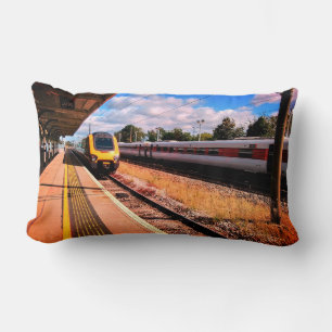 Two trains lumbar pillow