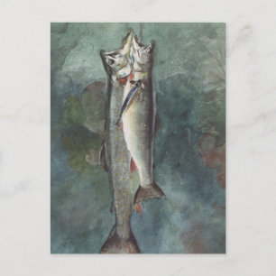 Two Trout Postcard