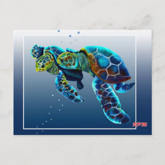 Two Turtles Postcard