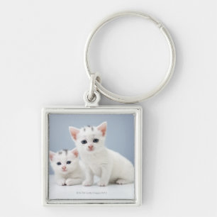 Two very young white kittens stare inquisitively keychain