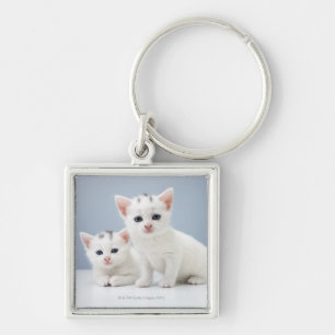 Two very young white kittens stare inquisitively keychain