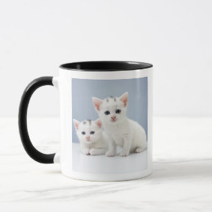 Two very young white kittens stare inquisitively mug