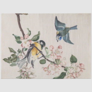 Two vintage tit birds on an apple tree tissue paper