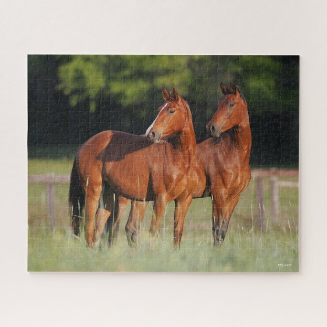 Two Warmblood Horses Standing In Field Jigsaw Puzzle (Horizontal)