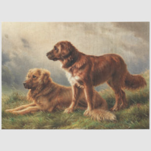 Two Watchful Dogs Tissue Paper