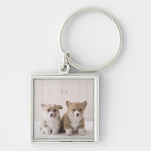 Two Welsh Corgi Sitting Keychain
