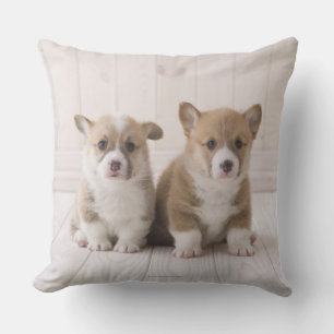 Two Welsh Corgi Sitting Throw Pillow