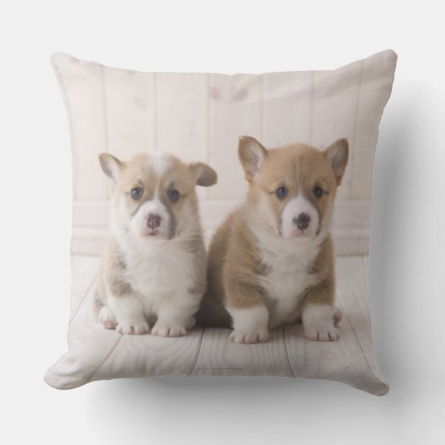 Two Welsh Corgi Sitting Throw Pillow (Front)