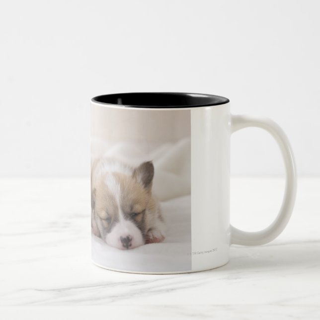Two Welsh Corgi Sleeping Two-Tone Coffee Mug (Right)