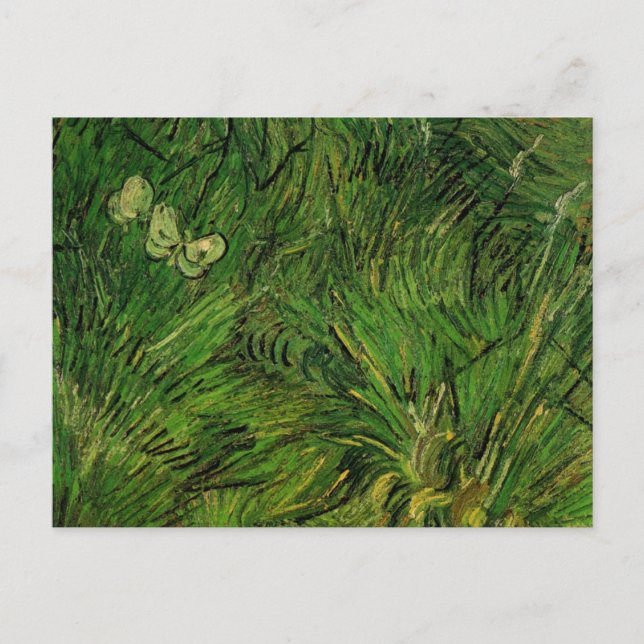 Two White Butterflies by Vincent van Gogh Postcard (Front)