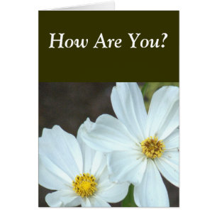 TWO WHITE FLOWERS /HOW ARE YOU?