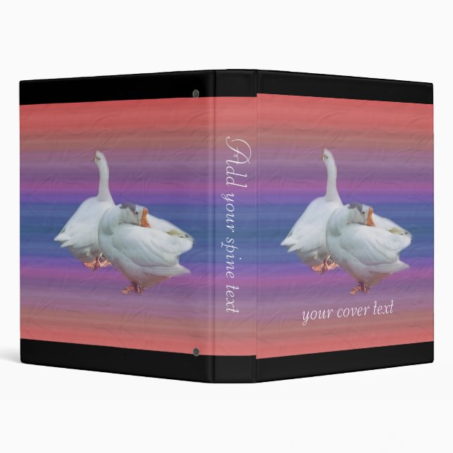 two white geese in colour  background binder (Background)