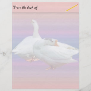 two white geese in fancy background
