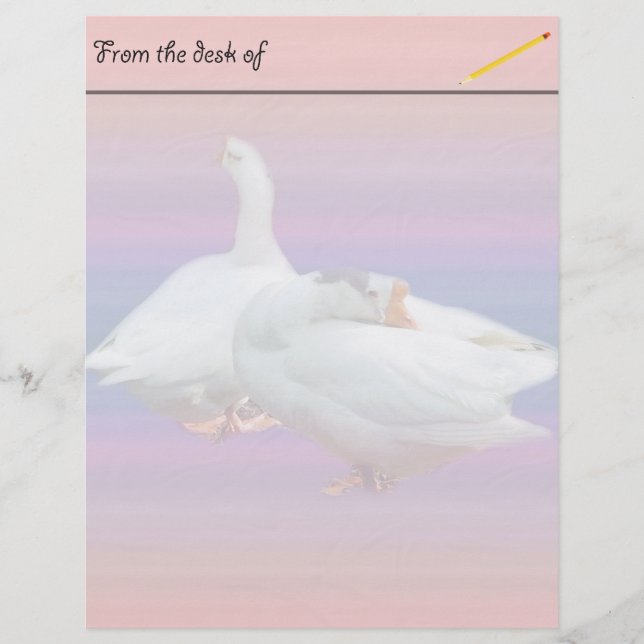 two white geese in fancy  background (Front)