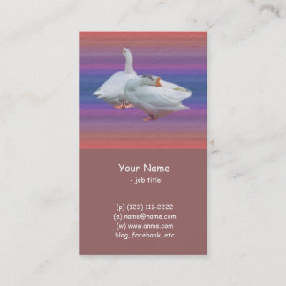 two white geese in fancy  background business card