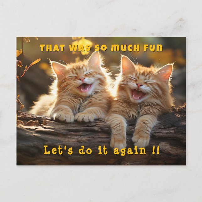 Two White Orange Funny Laughing Cats  Postcard (Front)