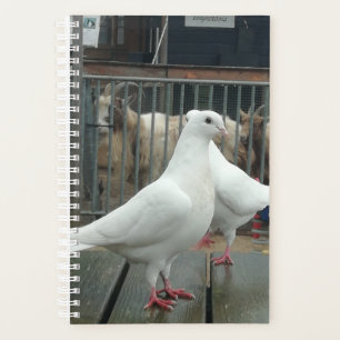 Two white peace doves. planner