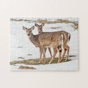 Two White-tailed Deer On Alert Jigsaw Puzzle