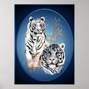 Two White Tigers Oval Poster