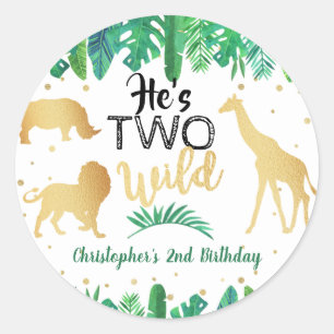 Two Wild Boys Second Birthday Party Favour Classic Round Sticker