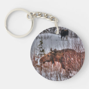 Two Wild Canadian Moose in Winter Marsh Keychain
