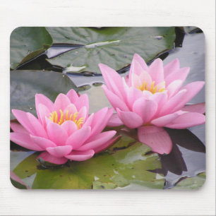 Two wild pink waterlilies in a pond mouse pad