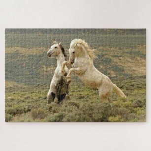 Two Wild Stallions Fight Jigsaw Puzzle